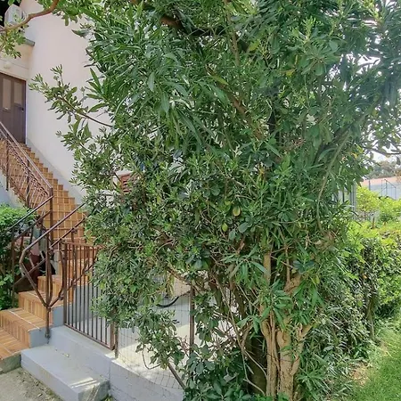 Appartamento Tanja Novigrad Istria